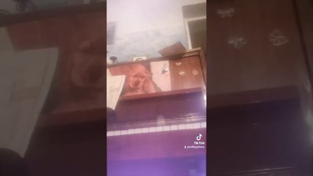 любимые песни на стихи Олега Стерха...) смотреть онлайн