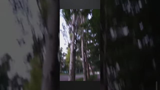 Гуляю🍃 смотреть онлайн