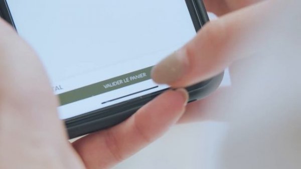 Longchamp X Global Blue X Adyen - Integration Cegid, Adyen, Global Blue Capsule