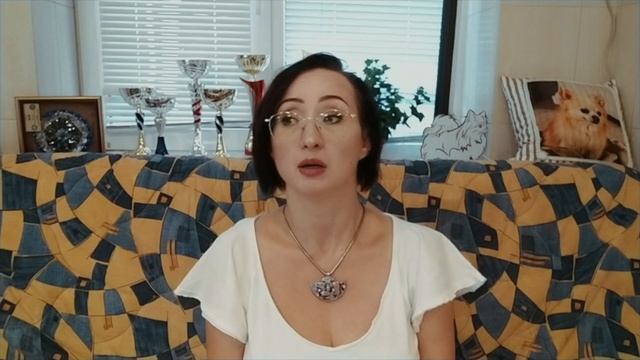 Кормление чихуахуа. 360 кг. мяса - наша заготовка! смотреть онлайн