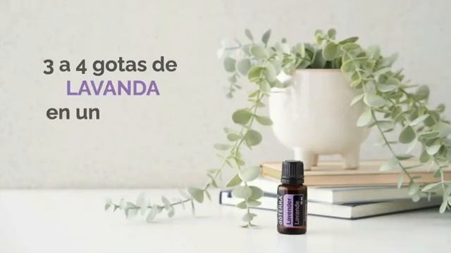 Con aceites esenciales doTERRA puedes calmar el estrés de tu perrito. смотреть онлайн