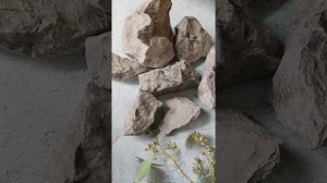 Глина Чернослив/Clay Prunes