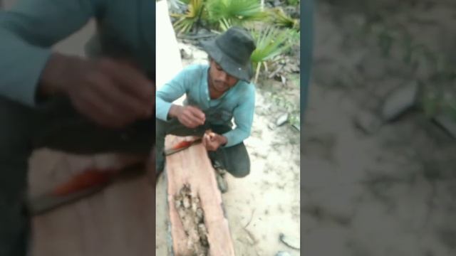 honey time смотреть онлайн