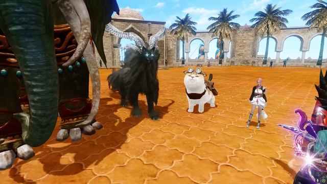 Самый милый питомец в игре Архейдж. Archeage 7.1 смотреть онлайн
