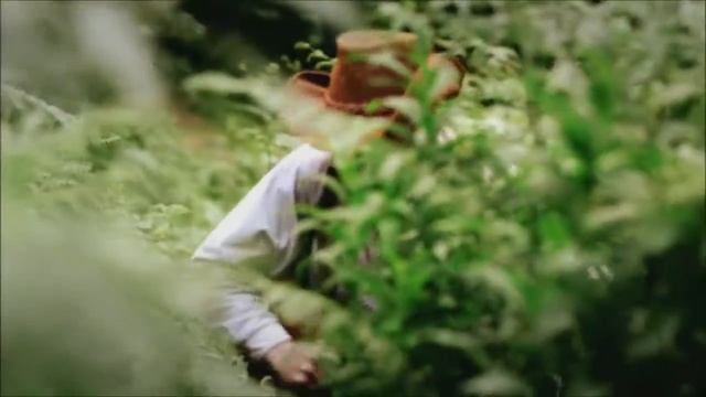 Raiders of the Lost Past - The Lost City of El Dorado смотреть онлайн