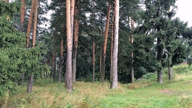 Продажа участка Березки Дачные недорого смотреть онлайн