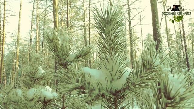 НОЧЕВКА В ЗИМНЕМ ЛЕСУ У НОДЬИ | ЗИМНИЙ ЛАГЕРЬ | СОВЕТЫ смотреть онлайн