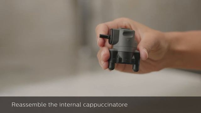 How to clean and maintain your Saeco GranAroma? смотреть онлайн