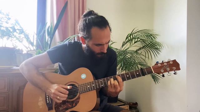 Windy And Warm - Albert Kokoszewski (Chet Atkins cover) смотреть онлайн