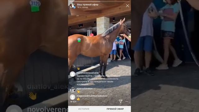 Прямой эфир с аукционом США/ 5-я книга - Цены взлетели/ Как купить коня в синдикате. смотреть онлайн