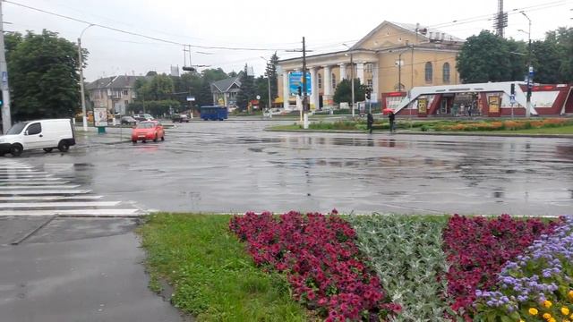 Украина цветы flowers rain biggest смотреть онлайн