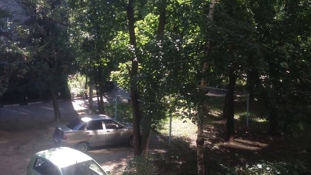 Лось в Балашихе смотреть онлайн