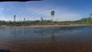 Ловля Симы, Горбуши на спиннинг  в Приморском крае.