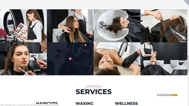 Kizuki Beauty Salon WordPress Theme TMT смотреть онлайн
