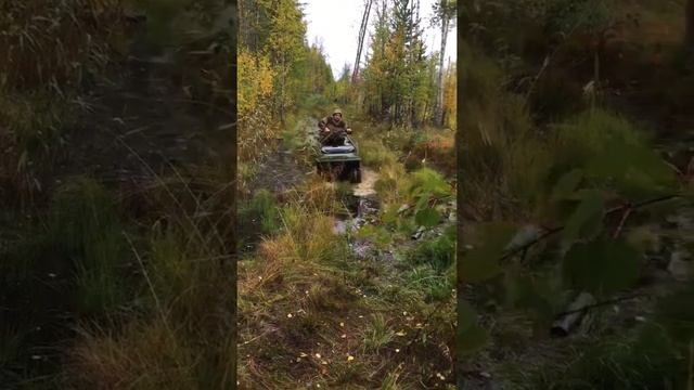 Ростин! Проверен болотами Архангельской области. смотреть онлайн