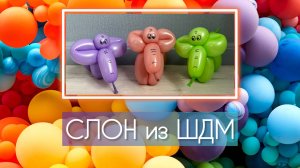 Слон из воздушного шарика ШДМ