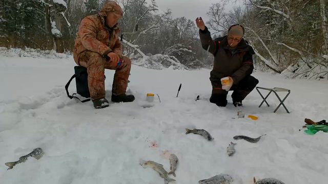 Десятое и одиннадцатое декабря на притоке Большой Уссурки смотреть онлайн