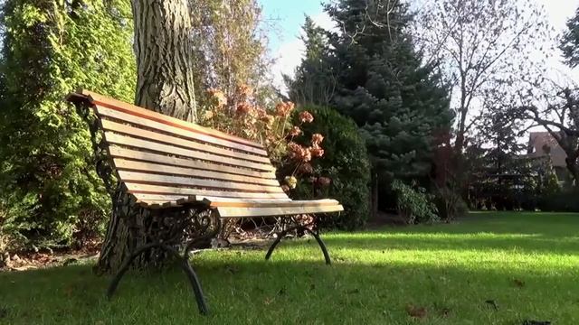 Наши родители. Живой аудио рассказ. Истории из жизни смотреть онлайн