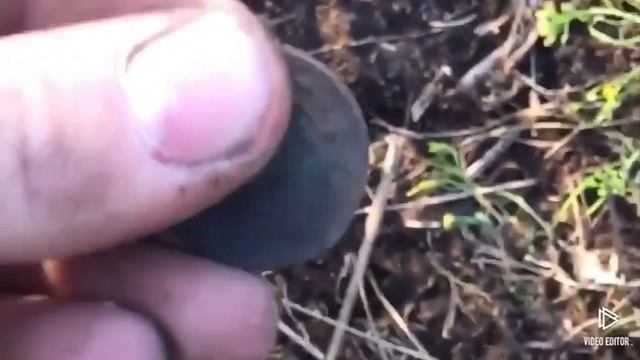 Царские монеты найденные за сезон! коп teknetics g2+ смотреть онлайн