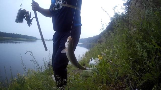 РЫБАЛКА НА ЛЕЩА смотреть онлайн