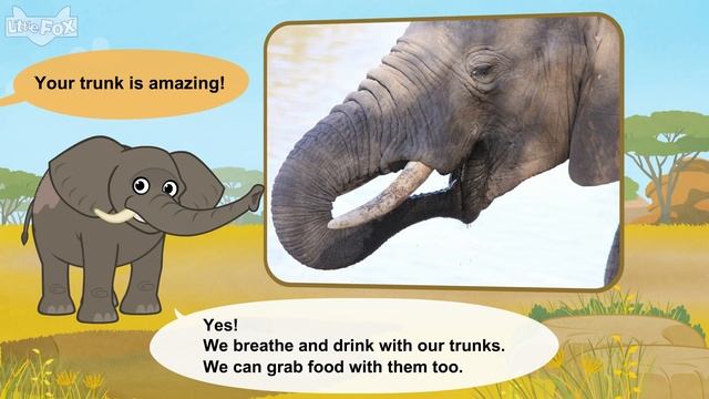 Meet the Animals 19 | African Elephant | Wild Animals | Little Fox | Animated Stories for Kids смотреть онлайн
