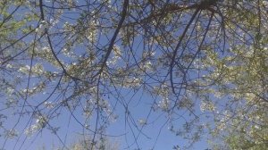 нет мобильного интернета . восстановление доступа к интернету МТС мобильный интернет 3G и 4G