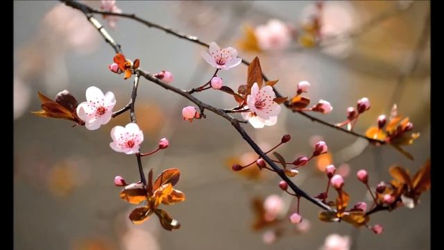 Нарисую тебе звезды смотреть онлайн