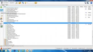 Nexus Mod Manager: Установка и использование