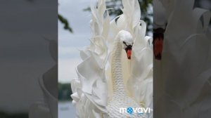 Лебедь из изолона