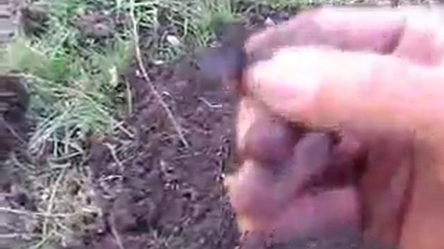 Белон 23 года ! Коп. смотреть онлайн