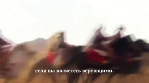 Мухаммад Люхайдан   Сура Ат Тауба, аяты 11 16 الجهاد 720p