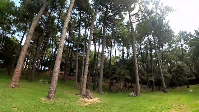 SANTANDER SPAIN - A Cove Of Treasure In The North