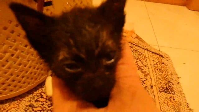 CIMG9143 смотреть онлайн