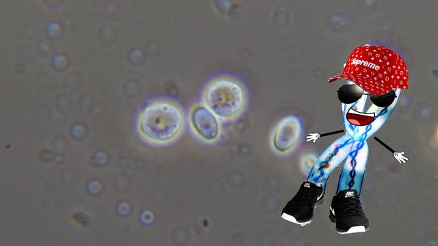 МОДА 21 ВЕКА смотреть онлайн