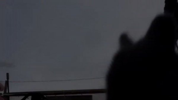 Маленький кролик, много маленьких кроликов | мобильный кролик Арболитич