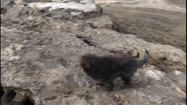 Инвесторы смотреть онлайн
