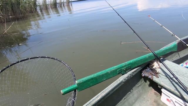 Рыбалка на реке Маныч. Ловля с лодок на поплавок. смотреть онлайн