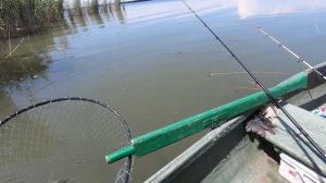 Рыбалка на реке Маныч. Ловля с лодок на поплавок.