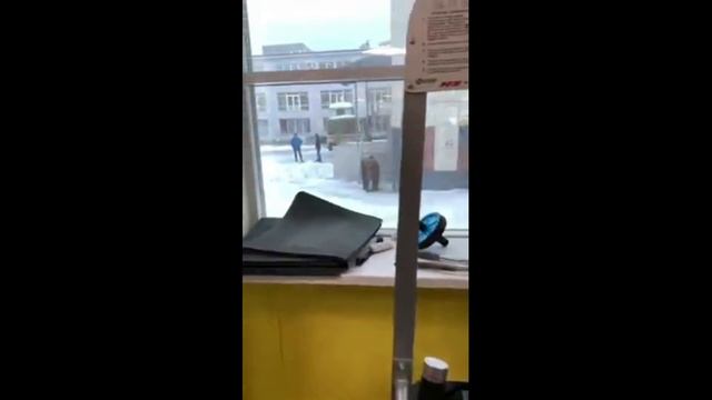 В Перми на улице нашли привязанного медведя смотреть онлайн