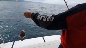 ДАРЫ МОРЯ СЕГОДНЯ, РЫБАЛКА ВЛАДИВОСТОК 2021, ИВАН КИЛИН