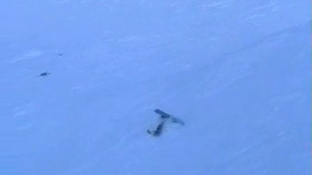 zauchensee snowboarding смотреть онлайн
