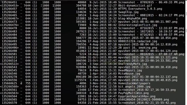 Using Ext4magic to rescue my deleted pictures смотреть онлайн