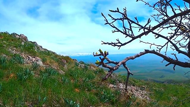 Гора Казыгурт. Туркестанская область (Южно Казахстанская область) смотреть онлайн