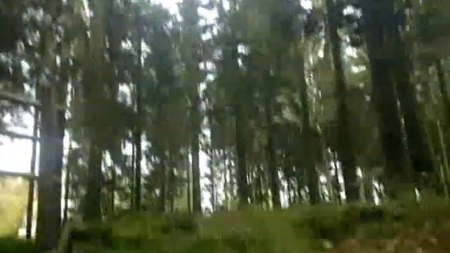 Metal Detecting WW2 ,Grenade Day ,Battle of the Bulge , Ardennes Offensive смотреть онлайн