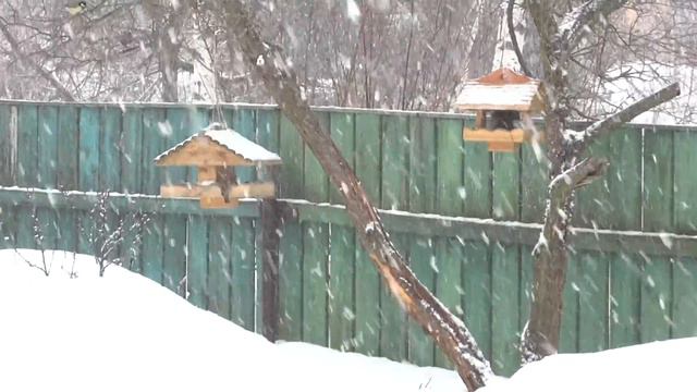 1 апреля 2013 года. Подмосковье. смотреть онлайн