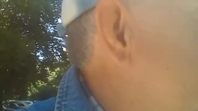 Пушкин А С. Анчар........28 июня смотреть онлайн