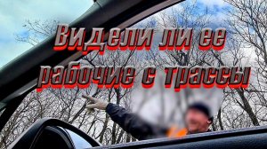 Прошли сутки, продолжаем искать собачку с трассы.