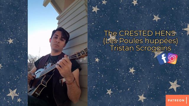 Crested Hens // Mandolin // Tristan Scroggins смотреть онлайн