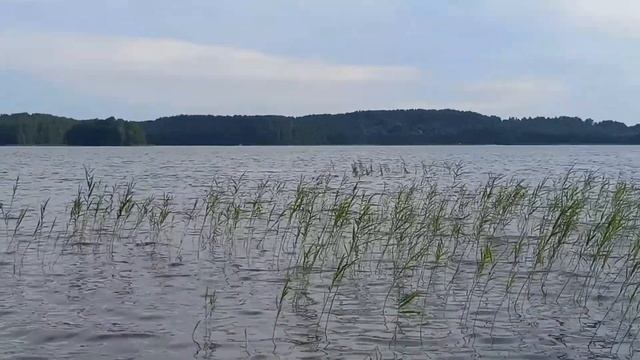 Псковская область озеро Велье