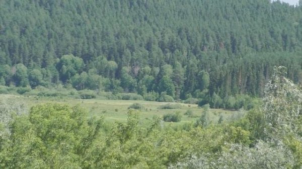 Мой Уржум. Эпизод 2-й. Река Уржумка.